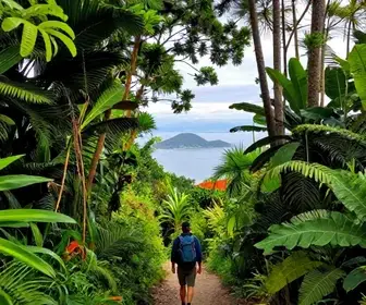 Explorando a Trilha do Morro da Pescaria em Guarapari