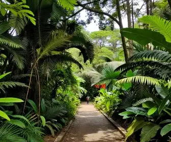 Explorando o Parque Natural Municipal Morro da Pescaria em Guarapari