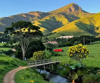 Explore Domingos Martins: Dicas Imperdíveis para Sua Viagem