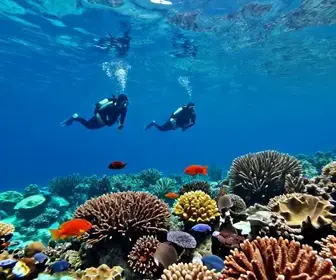 Guia atualizado: 7 melhores lugares para mergulho em Guarapari – ES