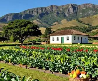 Os 4 melhores lugares de agroturismo em Guarapari